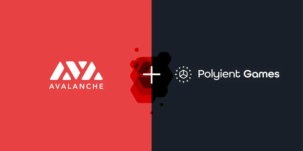 polyient avalanche