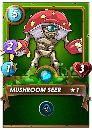 Mushroom Seer