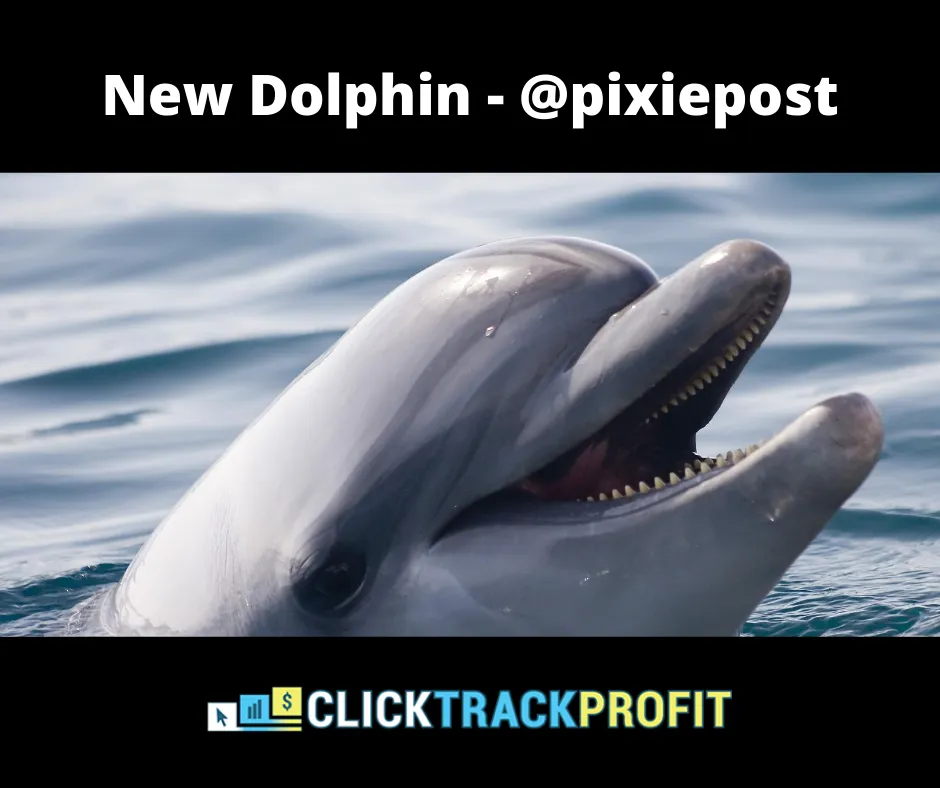 dolphin update2.png