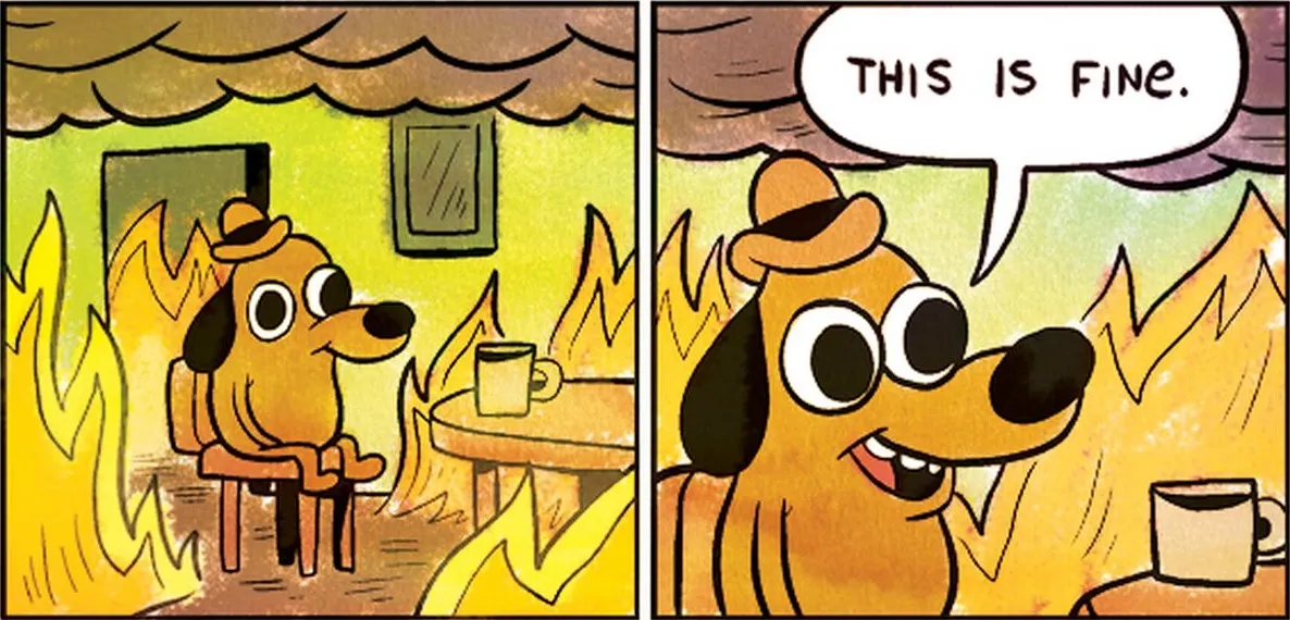 this is fine.jpg