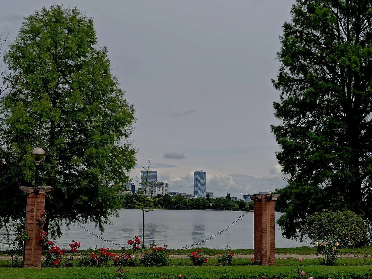 IMG_20200529_131647.jpg