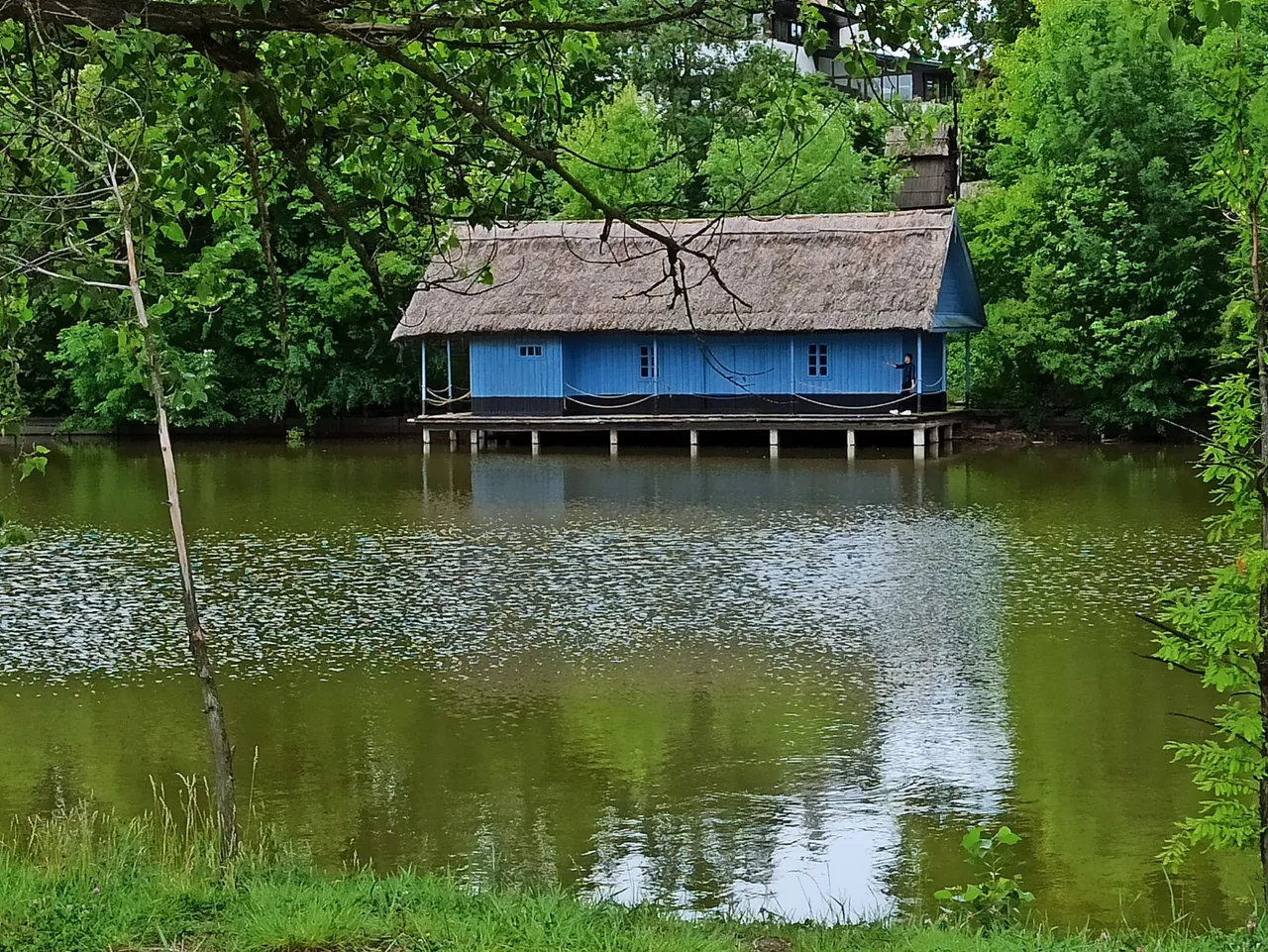 IMG_20200529_131528.jpg