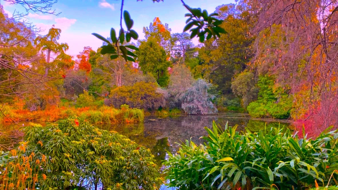 autumn lake.jpg