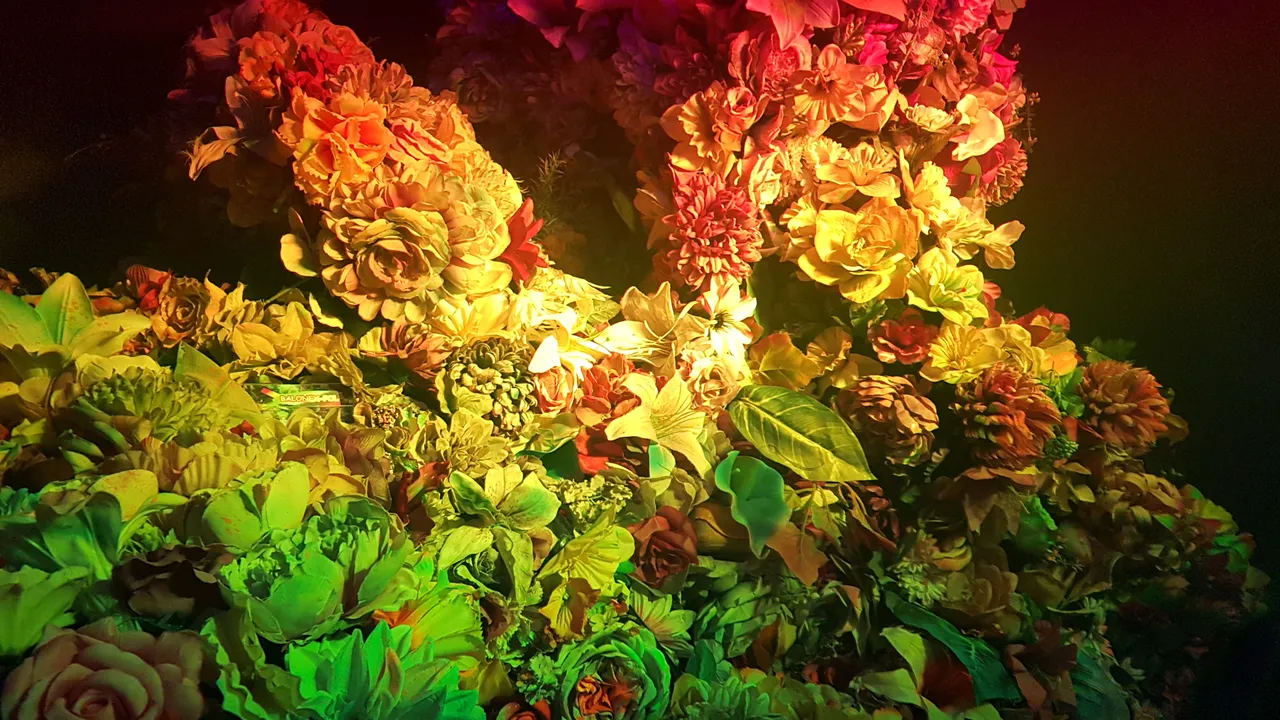 20190208_230445.jpg