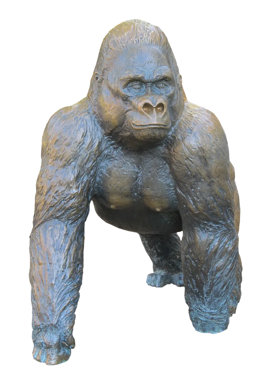 gorilla2807937_1280.webp