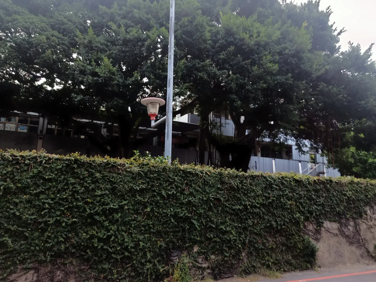 IMG20201015071105.jpg
