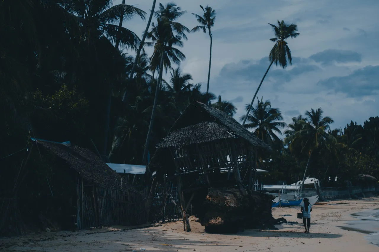 dark moody beach1.jpg