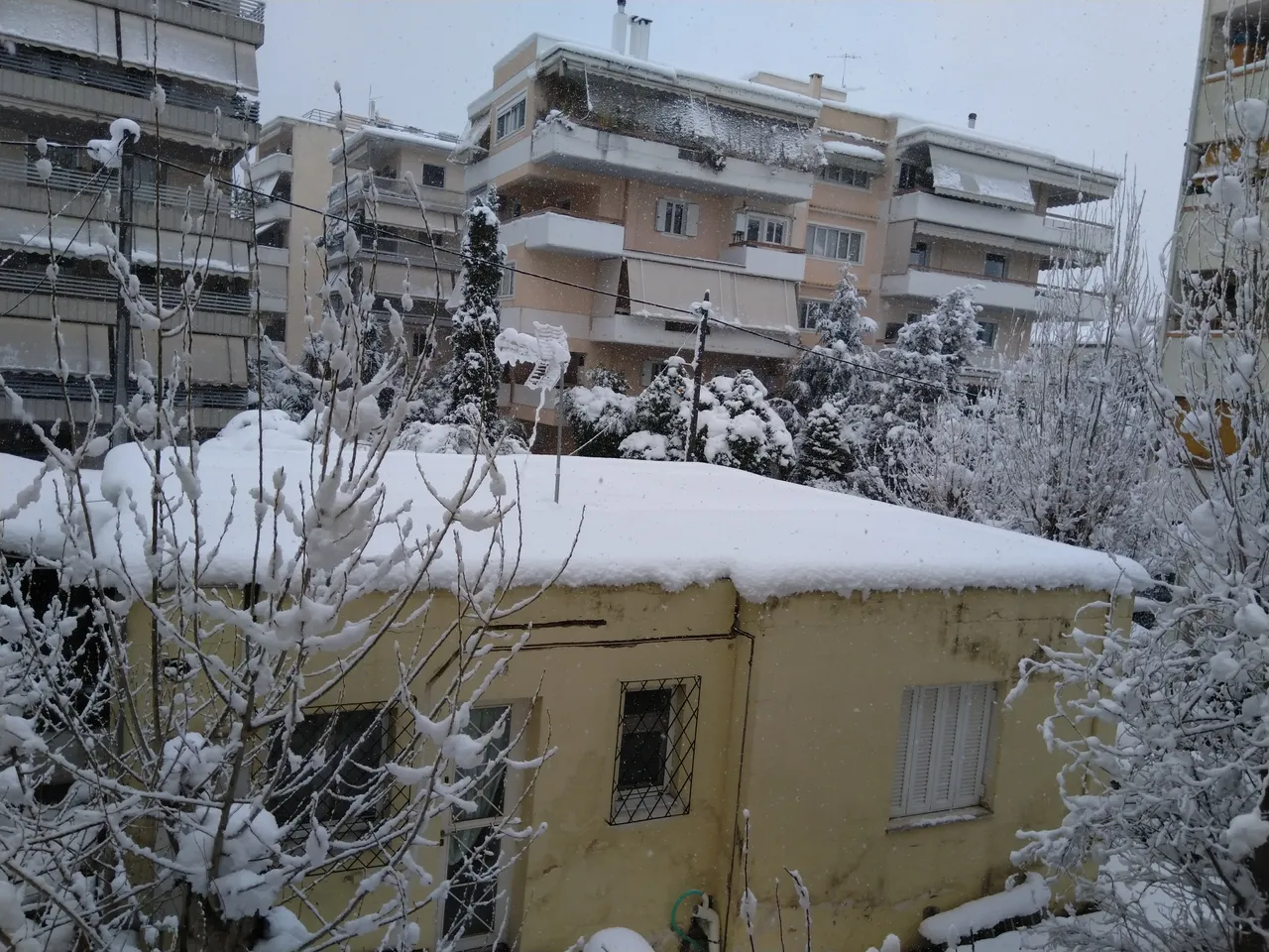 IMG_20210216_152533.jpg
