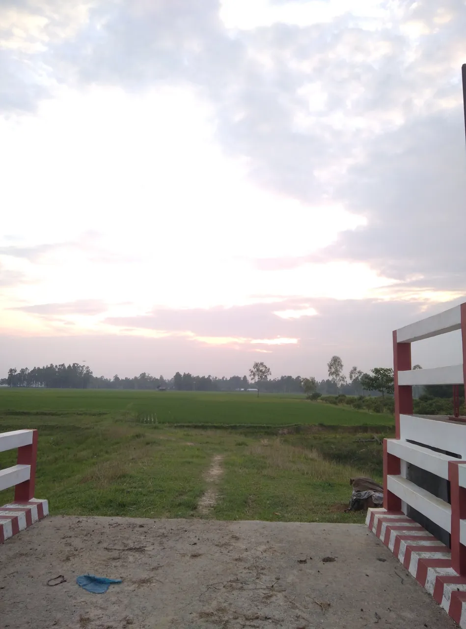 IMG_20200808_182021.jpg