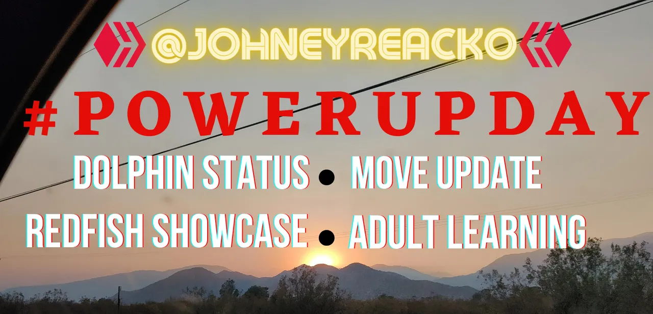 BLOG THUMBNAIL.png