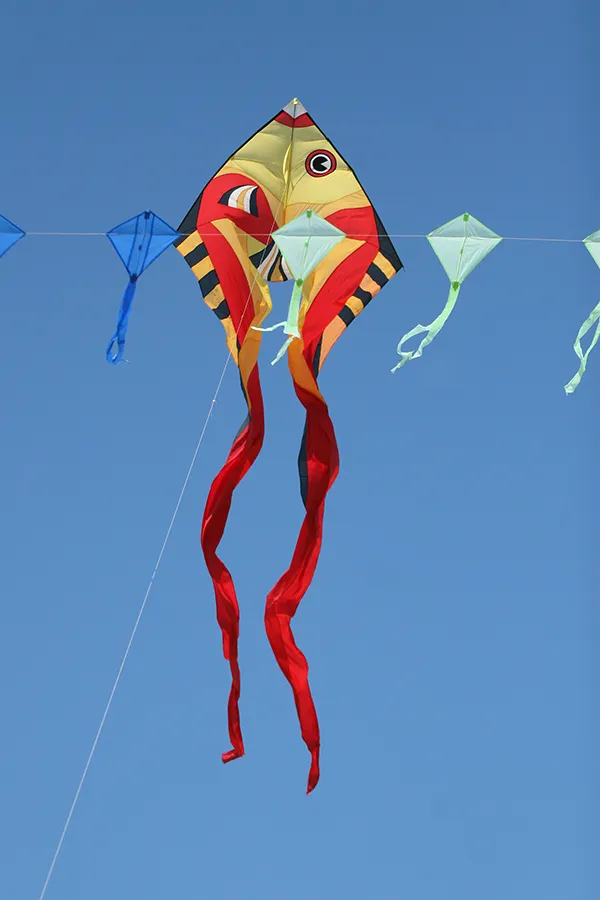 Kite_Fest_009_s.jpg