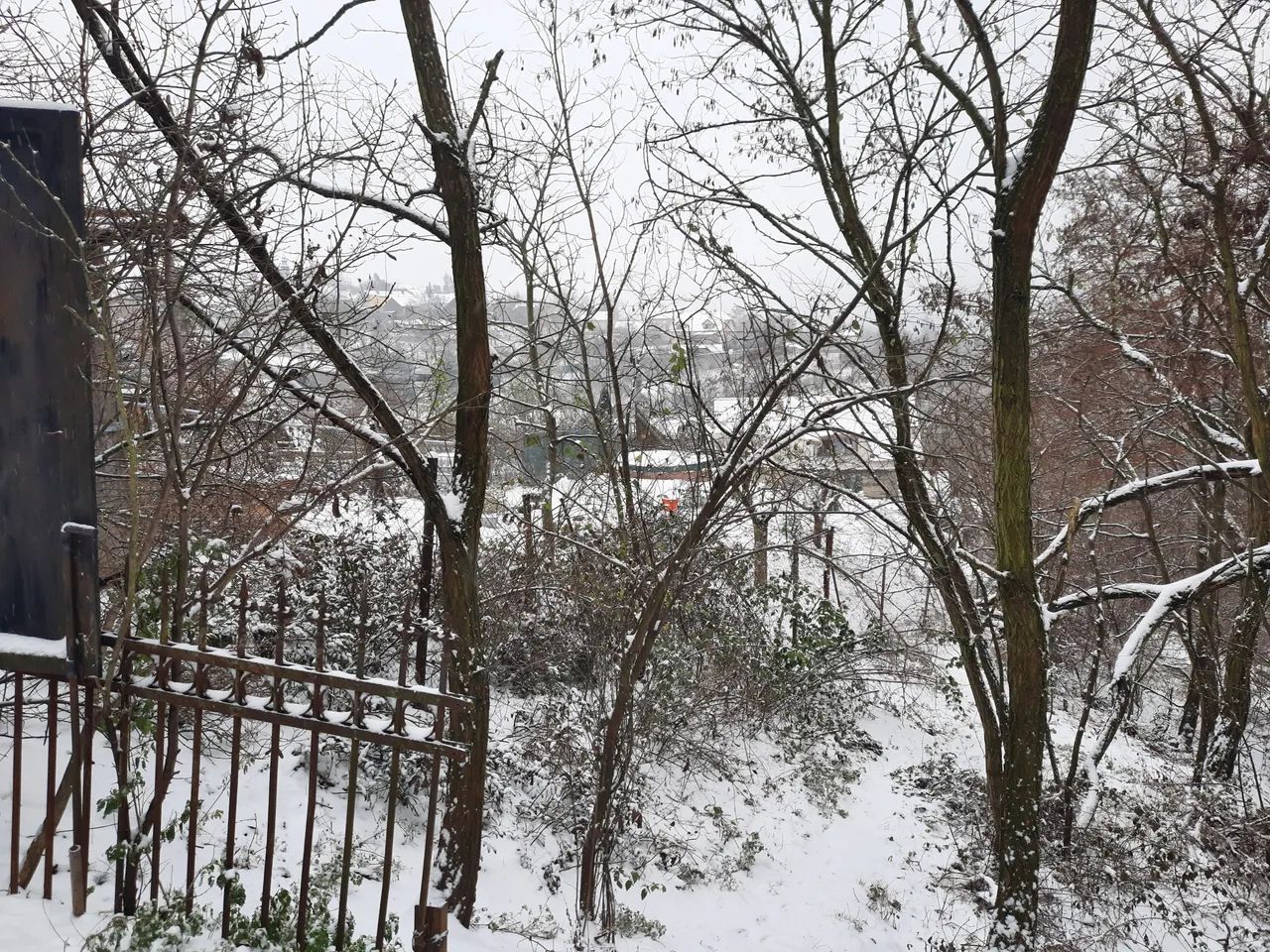 20201203_1005231.jpg