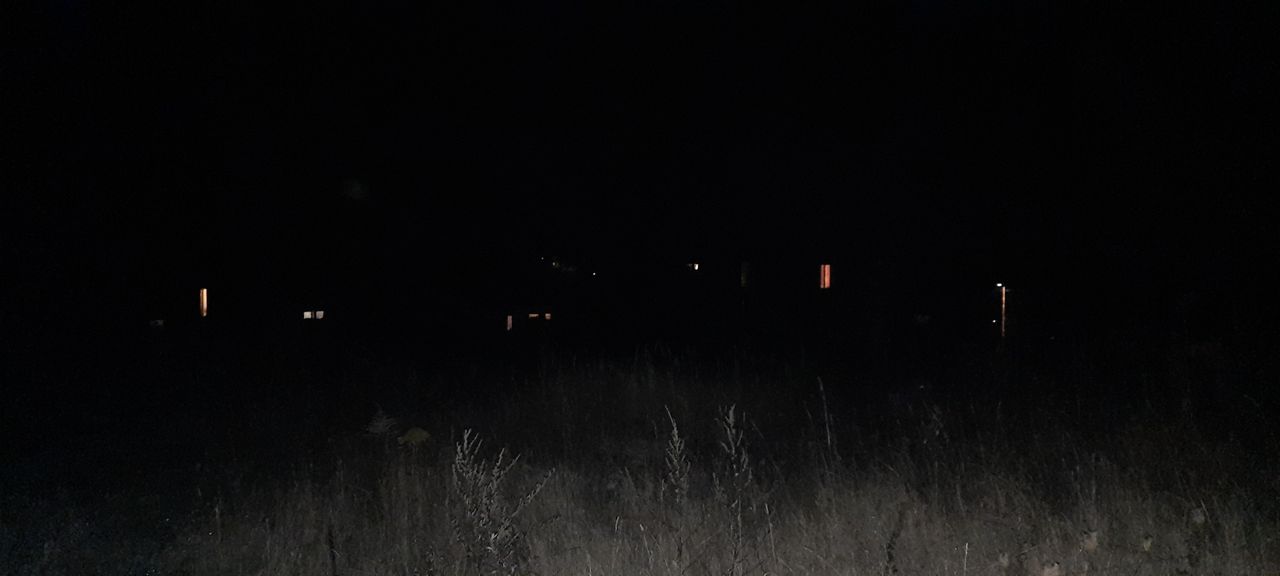 20201121_1955451.jpg