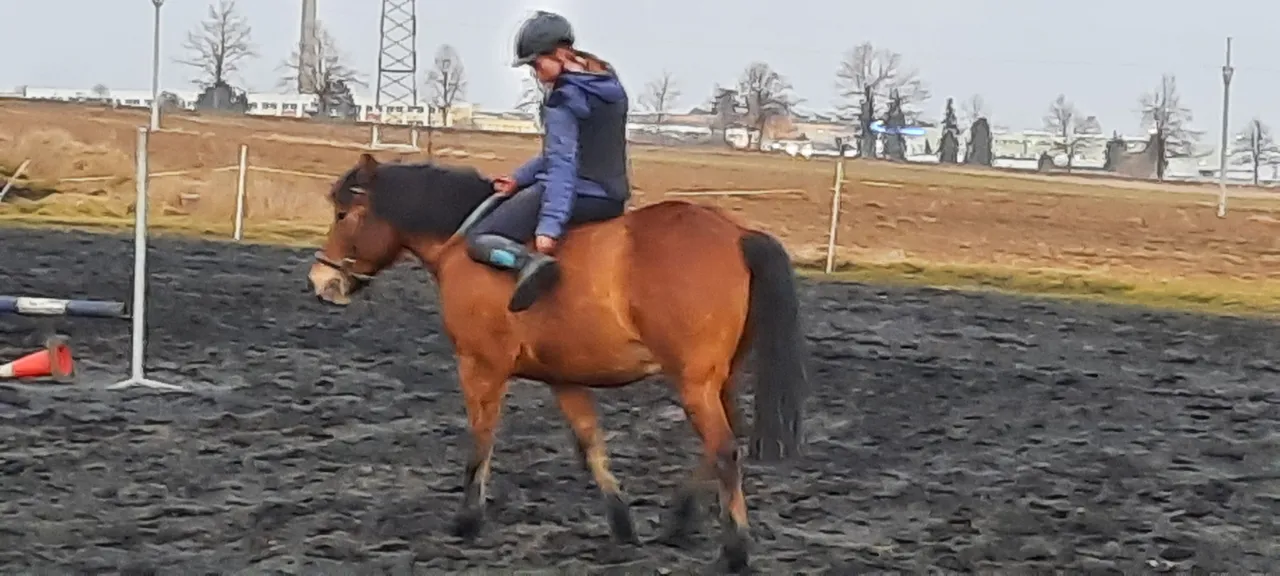 20210226_1744231.jpg
