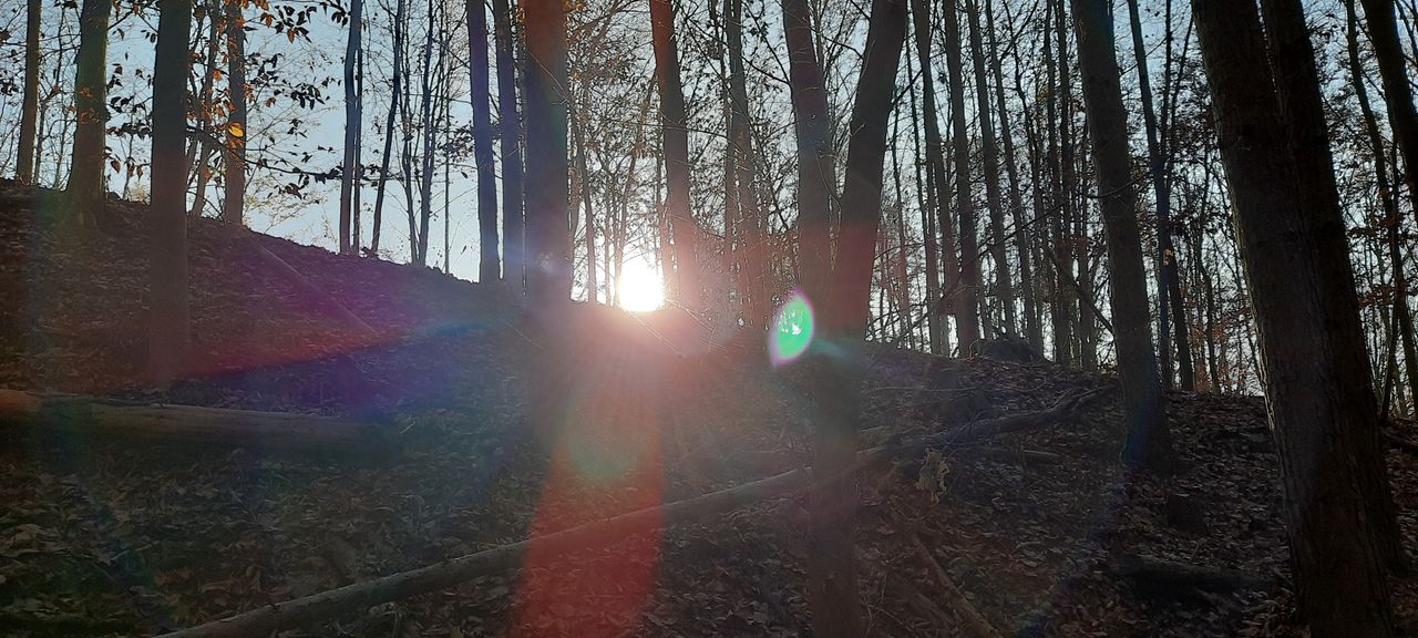 20201121_0926311.jpg