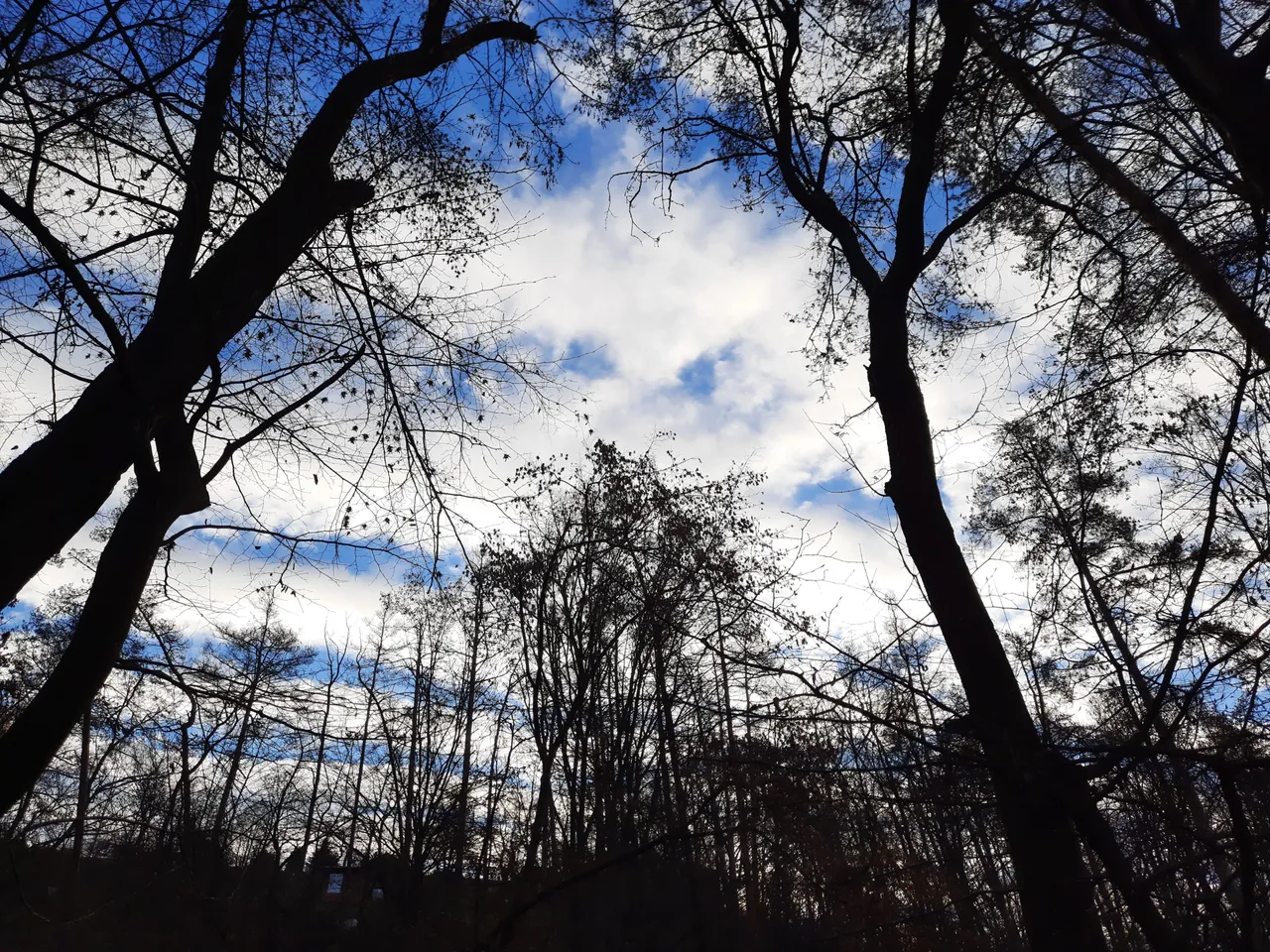 20201129_0856271.jpg