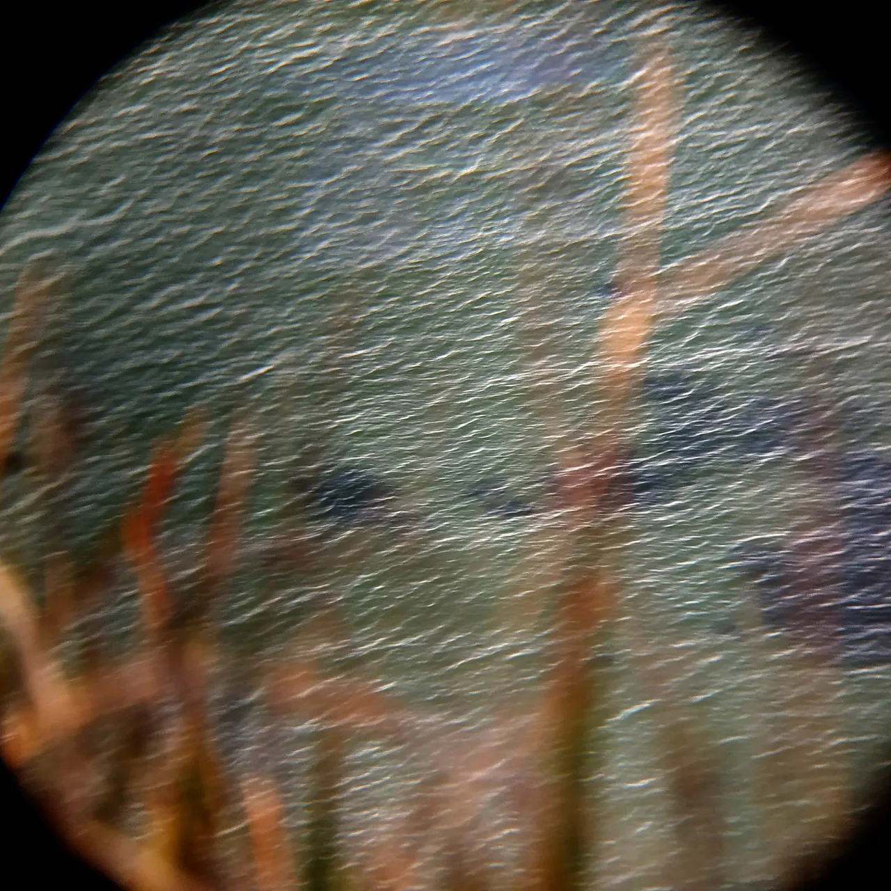 IMG_20201205_121216.png