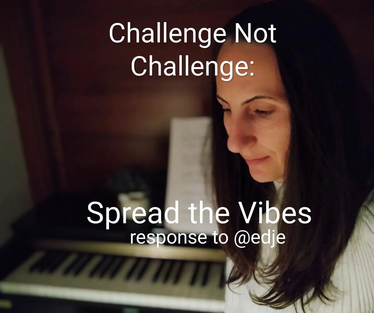 SpreadTheVibesPhoto.jpeg