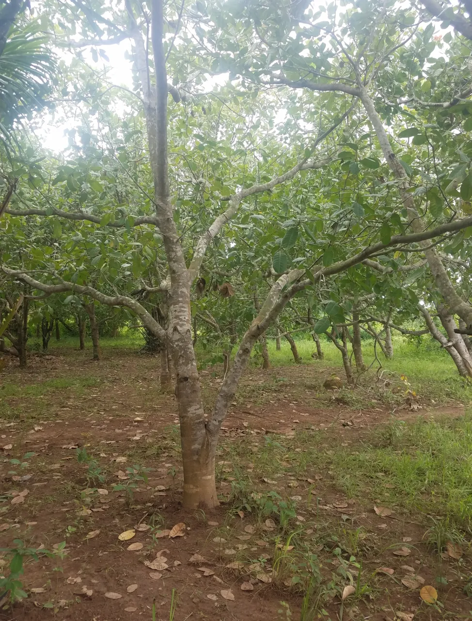20200905_105443.jpg