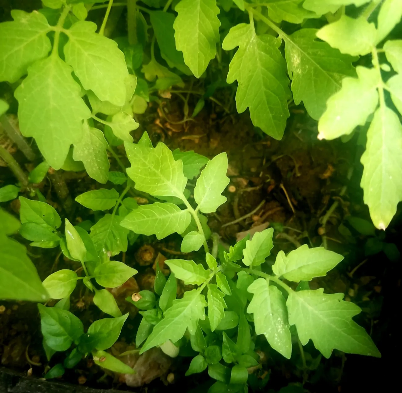 20200813_094842.jpg