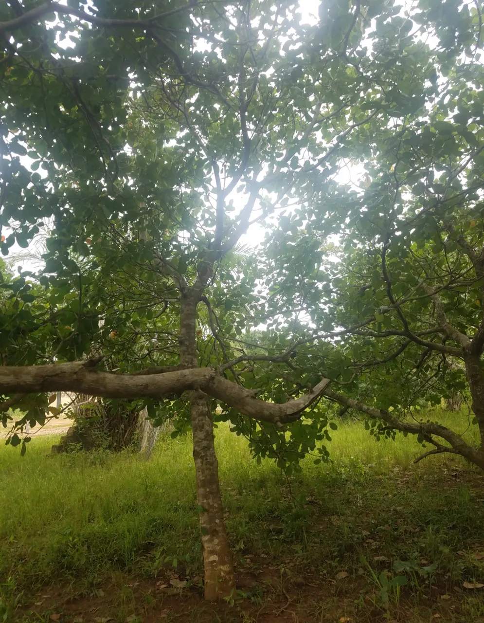 20200922_183243.jpg