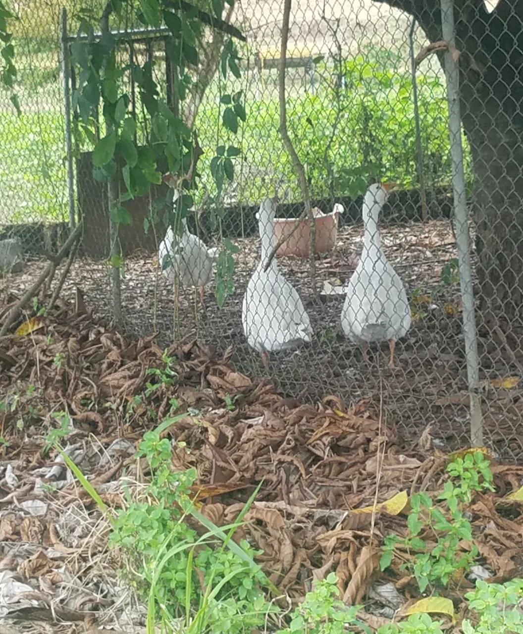 20201007_180951.jpg