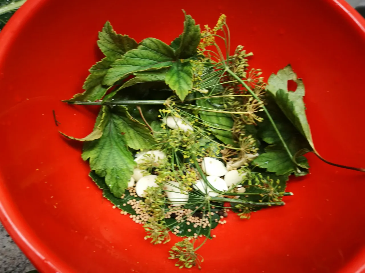IMG_20200826_221334.jpg