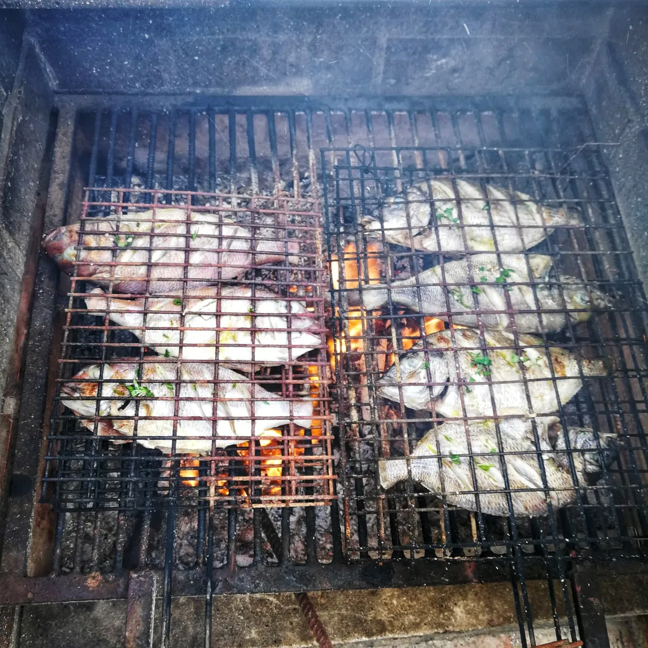 IMG20200817WA002401.jpeg