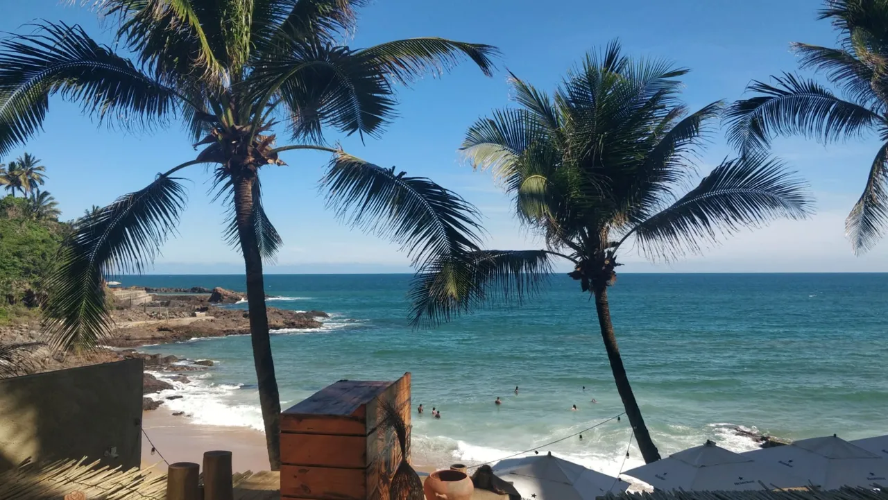 IMG20191130WA000301.jpeg