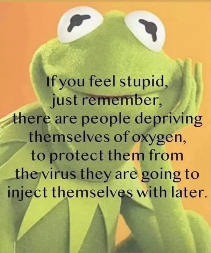 masks  kermit.jpg