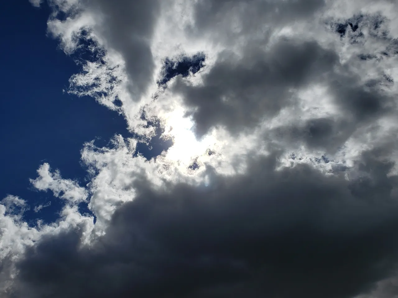 20200906_131205.jpg