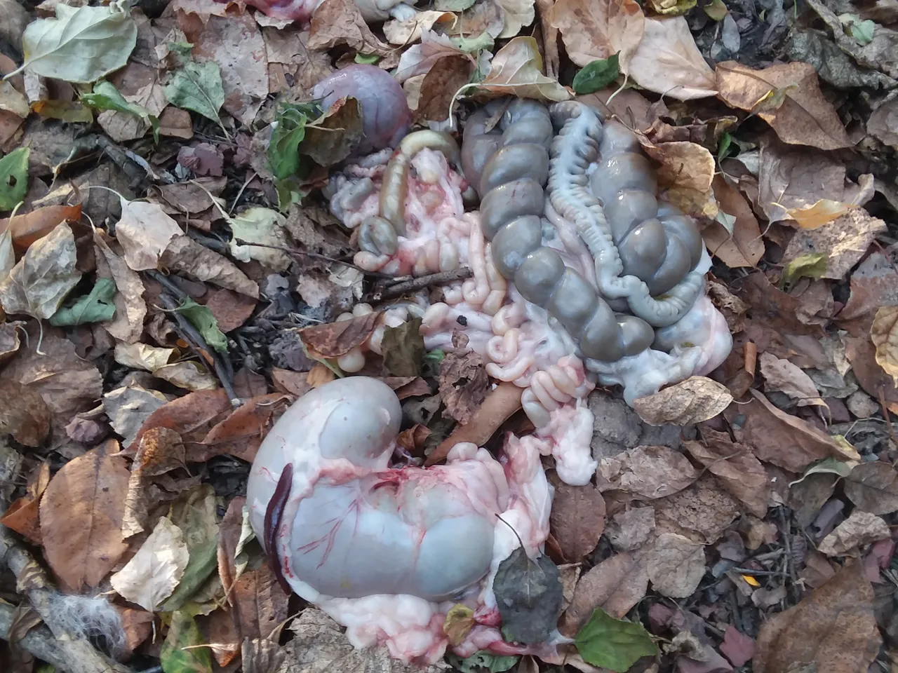 20201107_155145.jpg