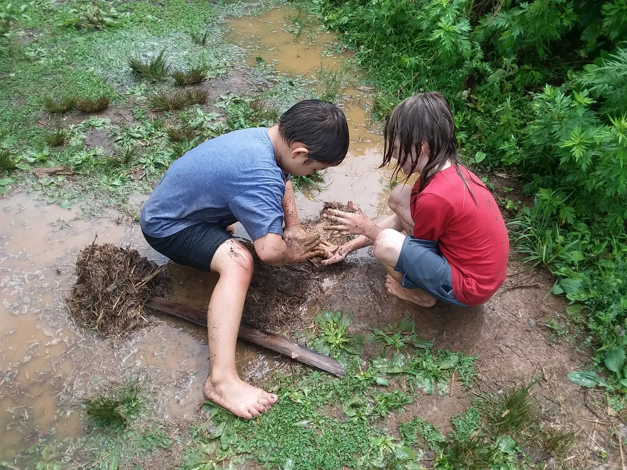 20200701_142855.jpg