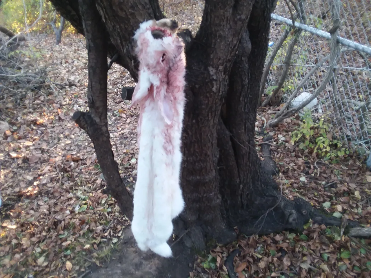 20201107_160632.jpg
