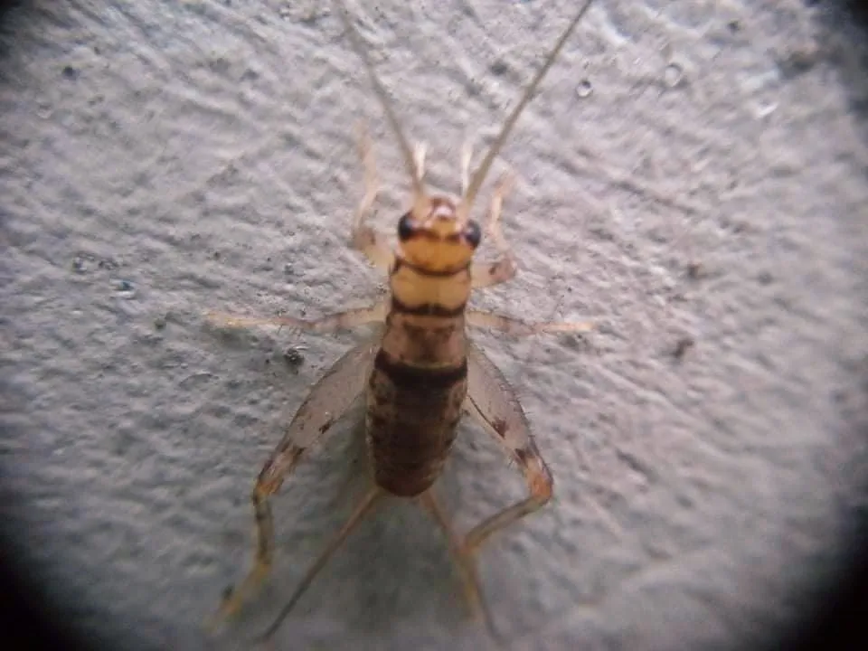 IMG_20200623_210806.jpg