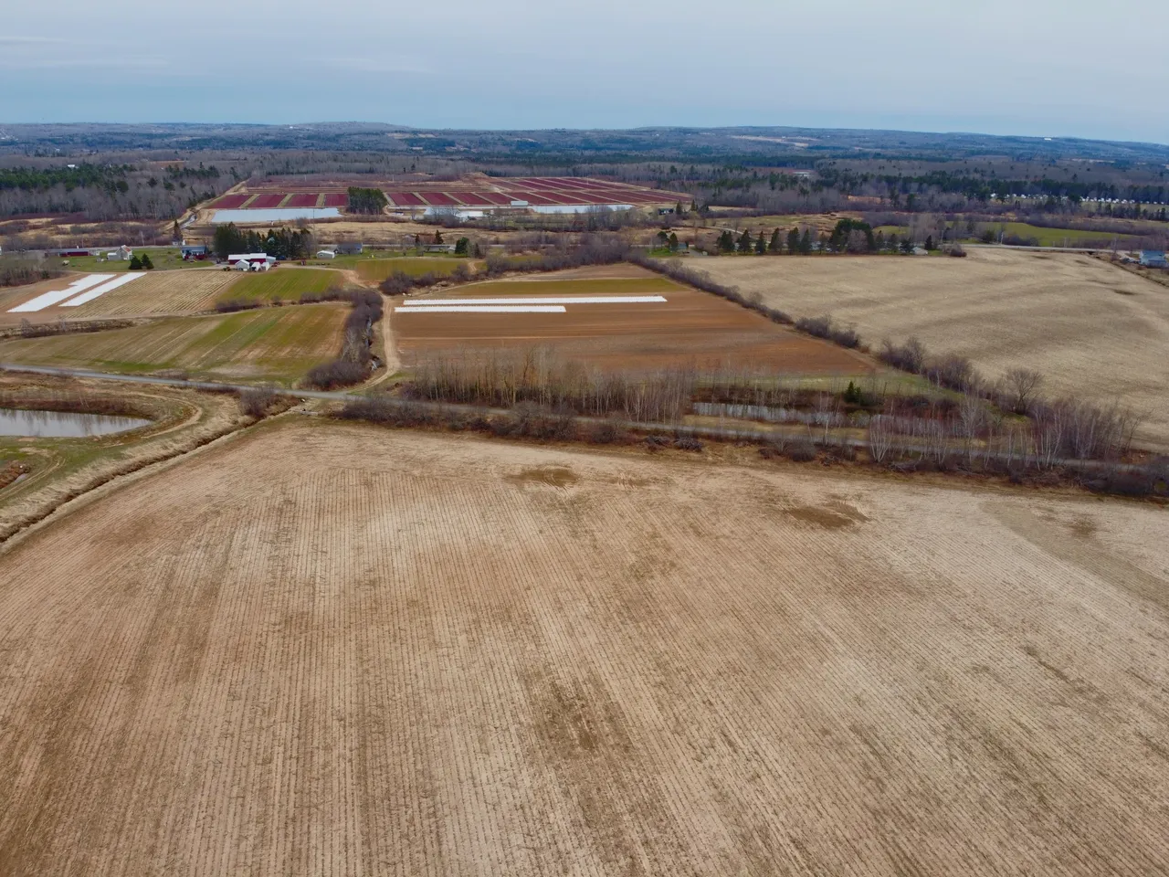 DJI_0043EDIT.jpg