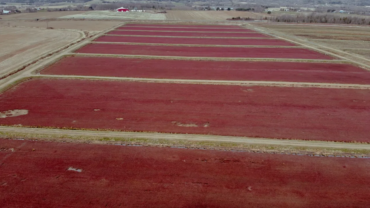 DJI_0050EDIT.jpg