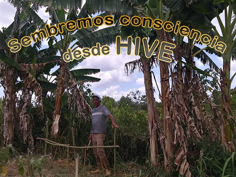 Consciencia.png