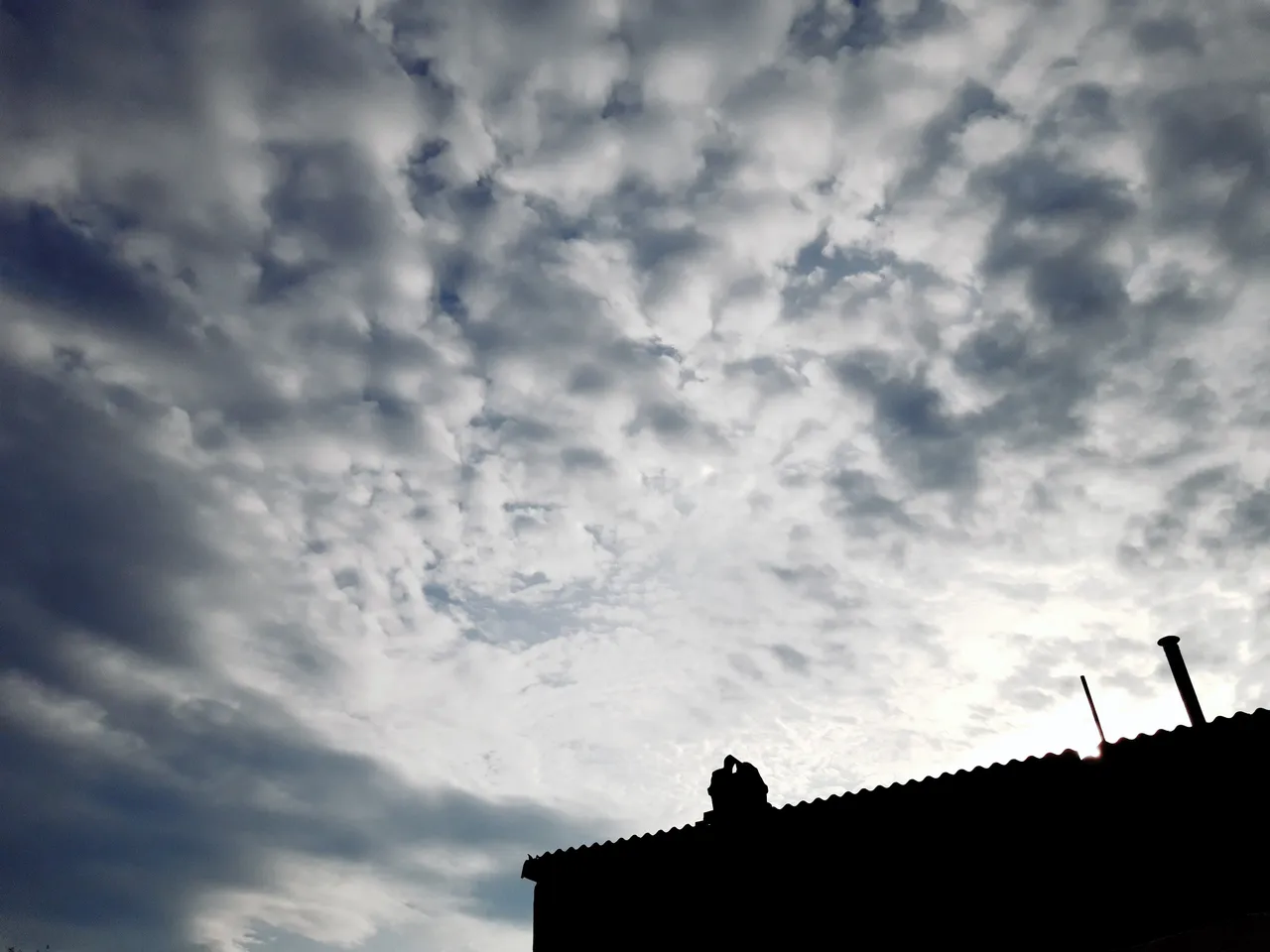 20191103_082018.jpg