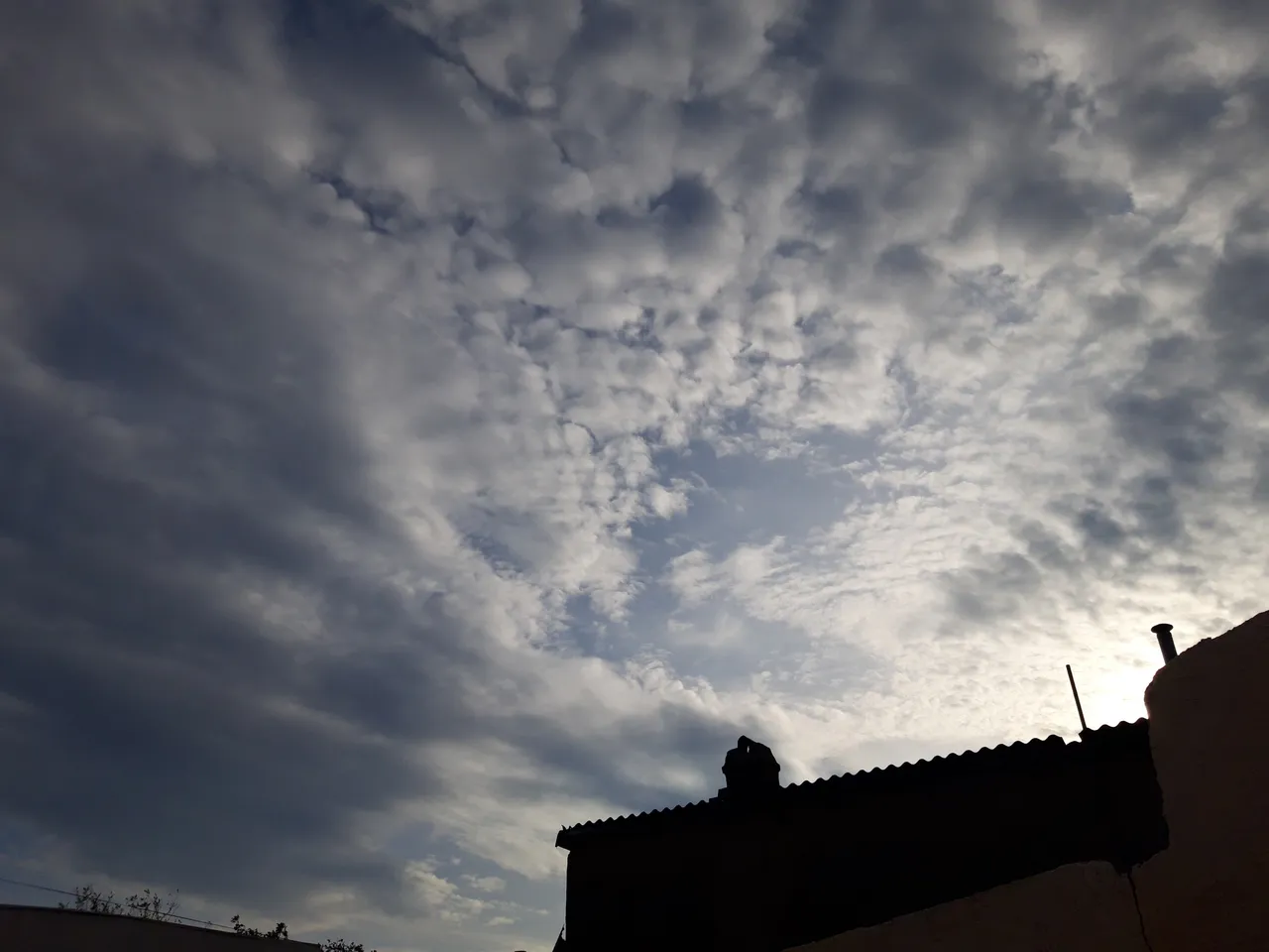 20191103_081800.jpg
