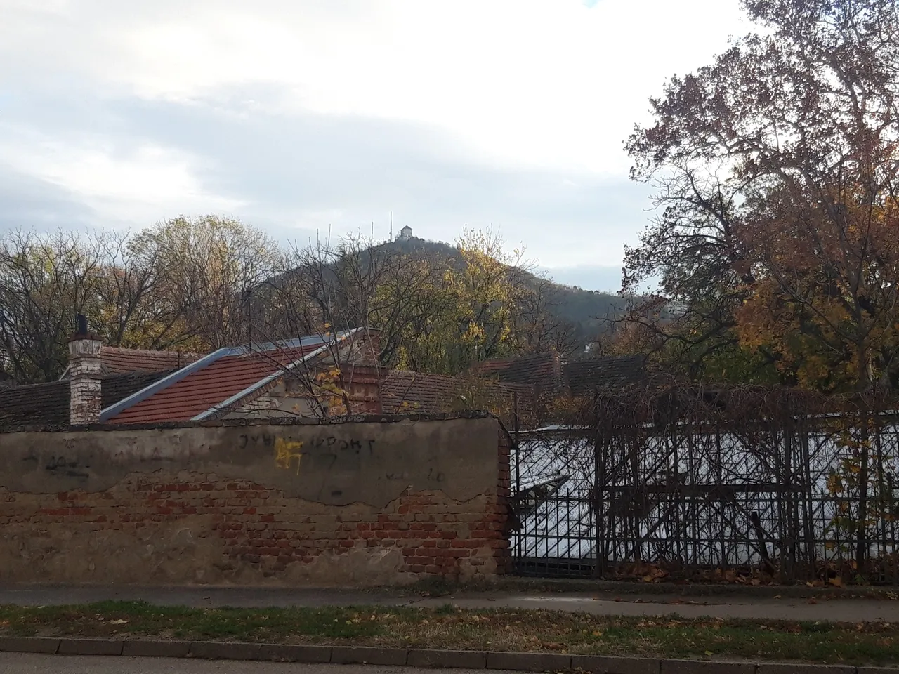 20191128_080238.jpg