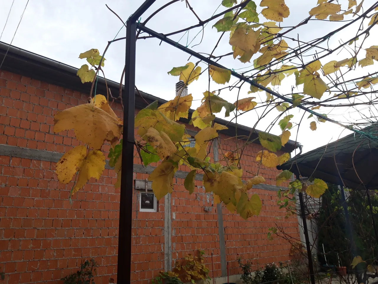 20191117_135317.jpg