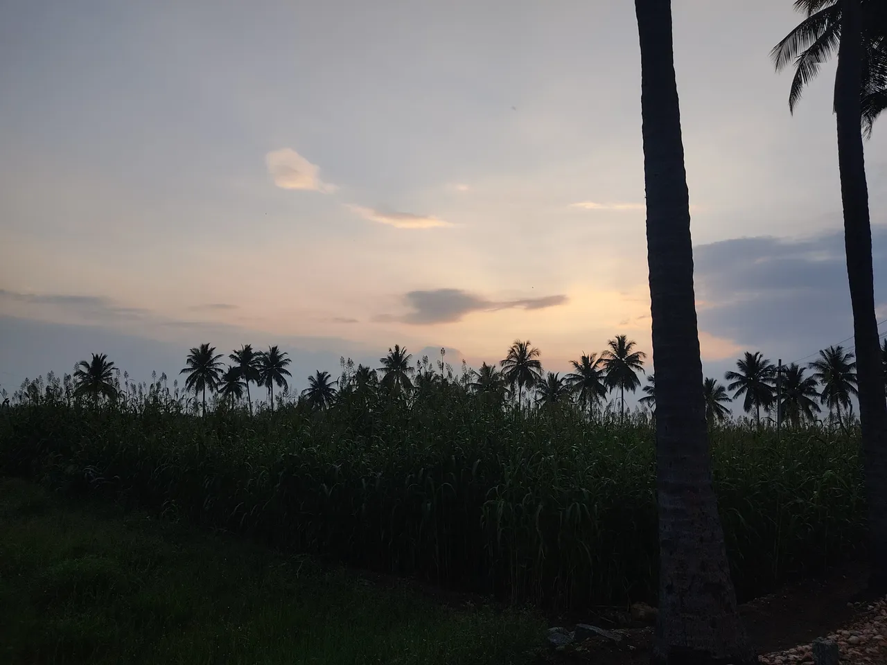 IMG_20201209_173557.jpg