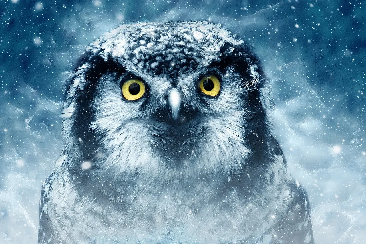 bird3732867_1280.jpg