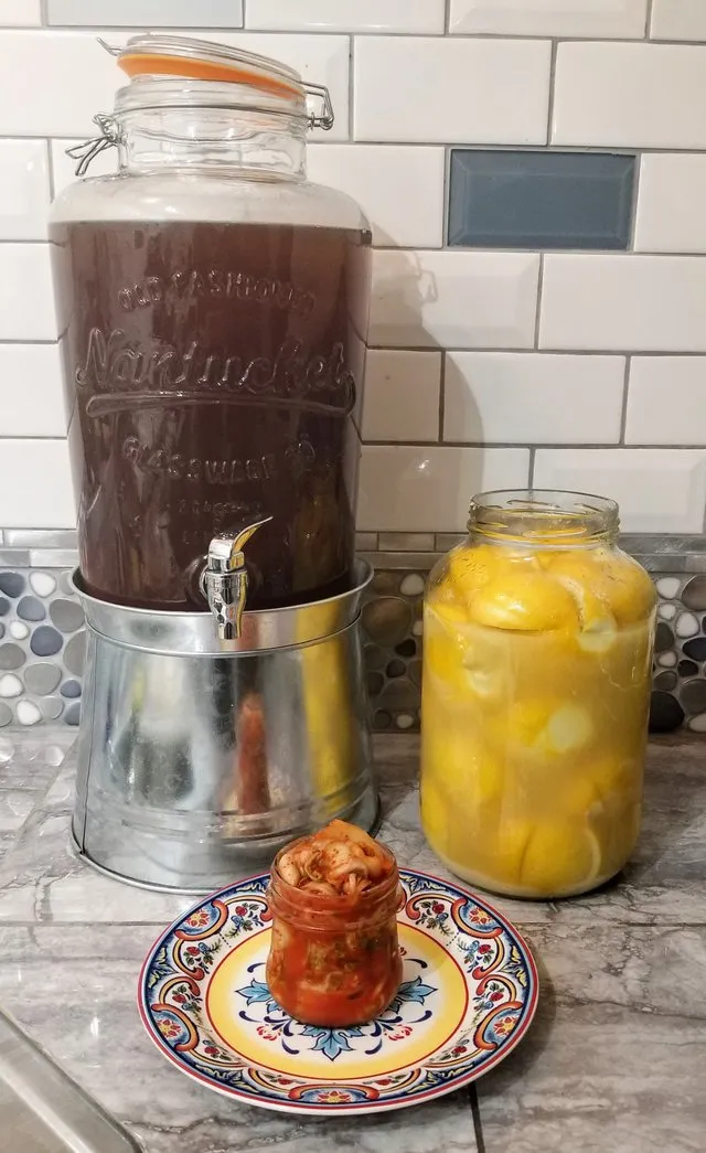 ferment.jfif