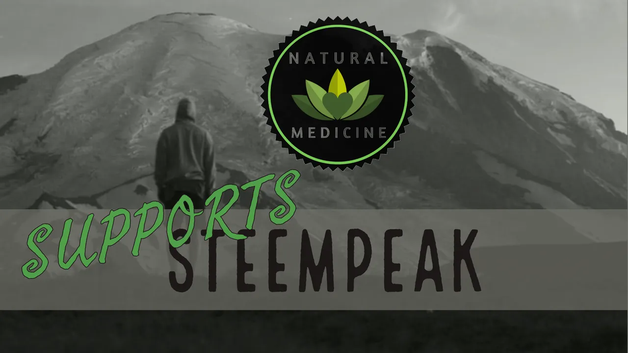 sTEEMPEAK.png