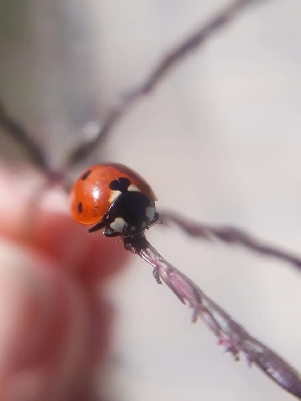 20190930_123901.jpg