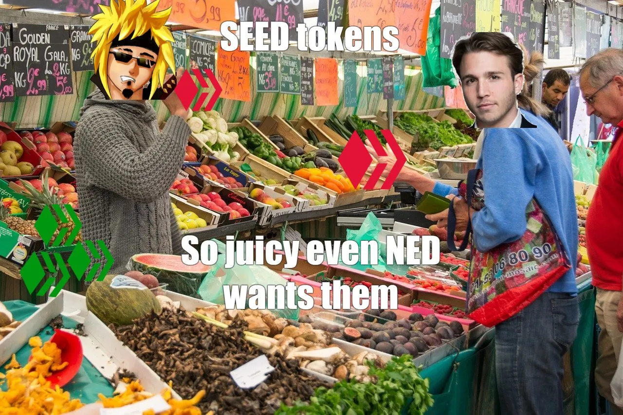 SEED.jpg