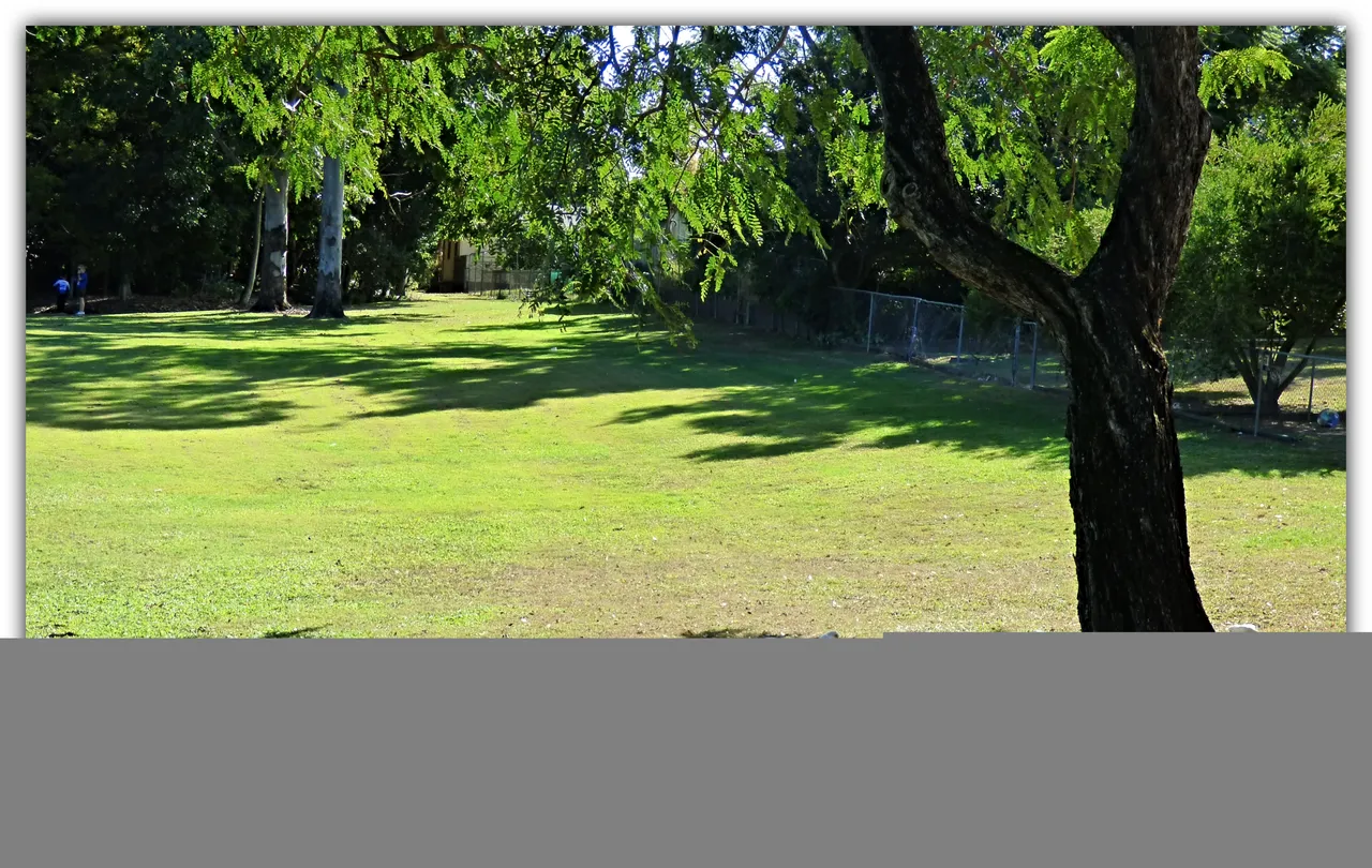 LAWN.jpg
