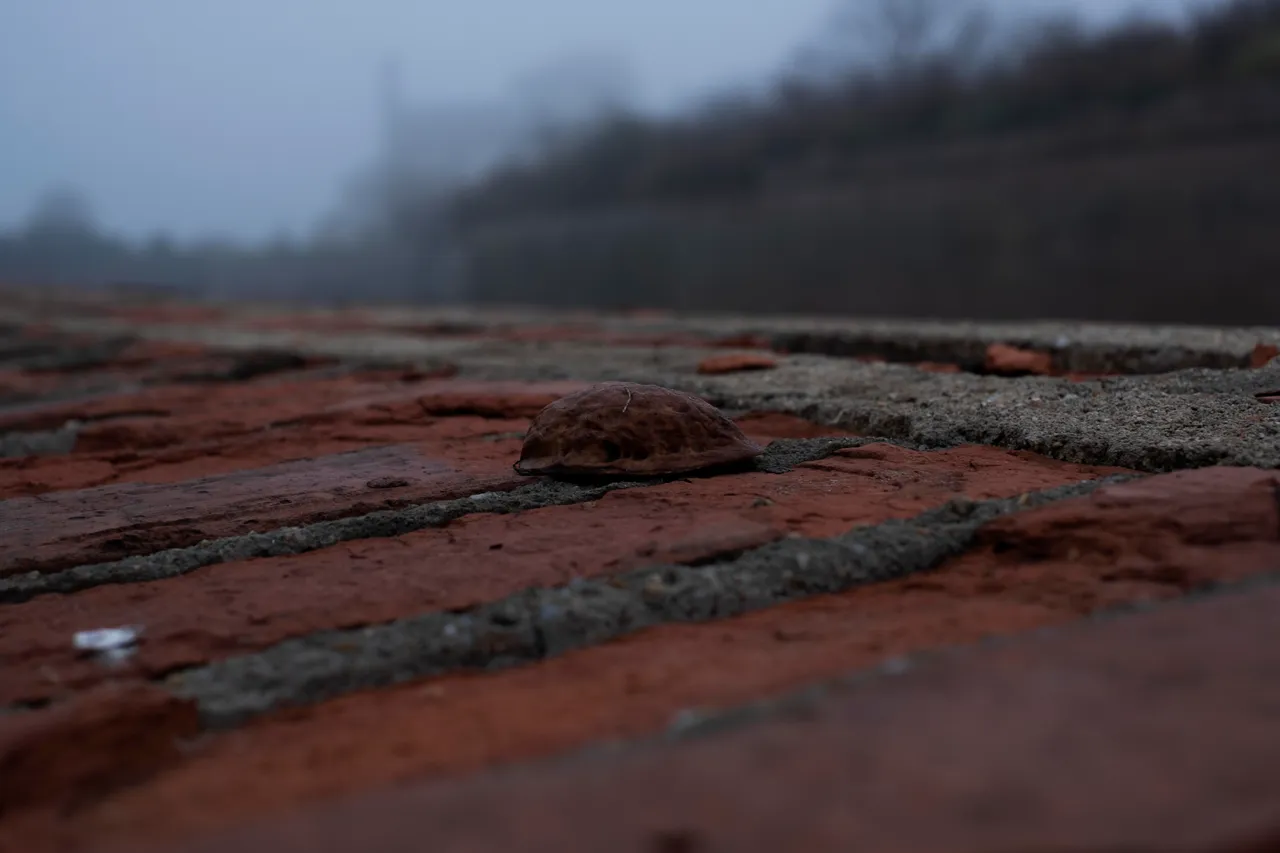 fog9.jpg